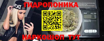 стафф Будённовск