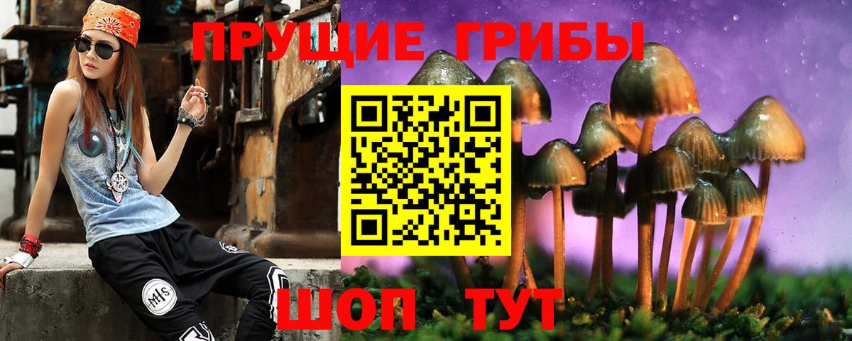 Галлюциногенные грибы Cubensis Кропоткин