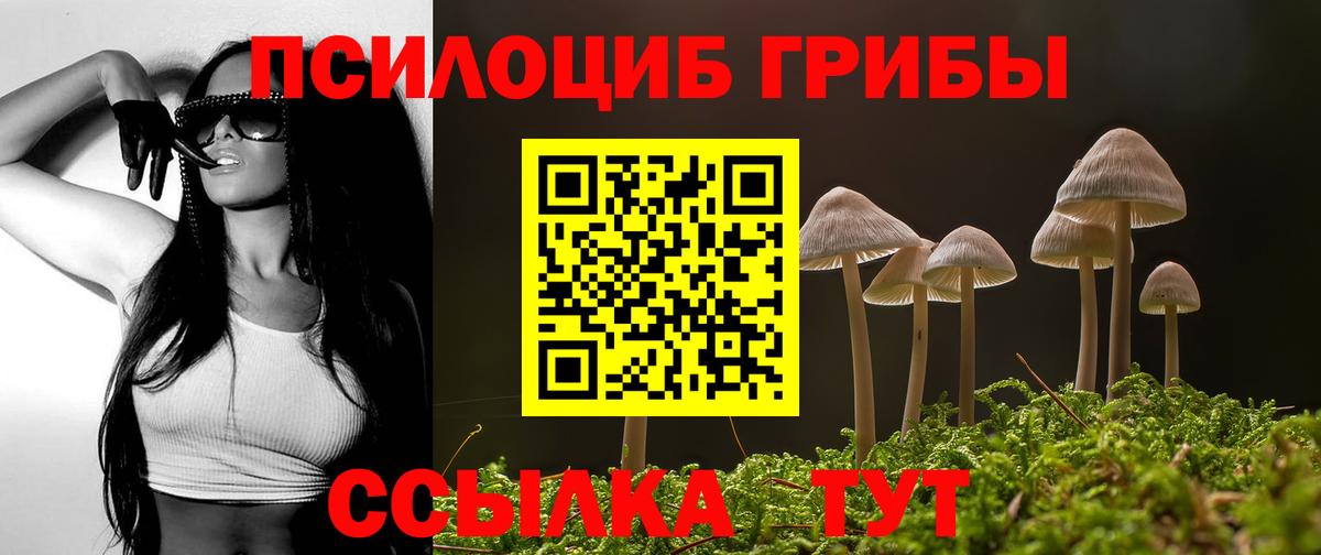 Галлюциногенные грибы Magic Shrooms  Псилоцибиновые грибы GOLDEN TEACHER  Вход с VPN  Кропоткин 